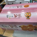 임*순