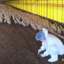 이창우농장 이미지