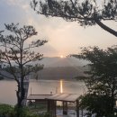 울미연꽃마을 | [경기도 포천시] 밤밭 낚시터