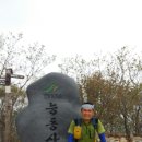 화신사 이미지
