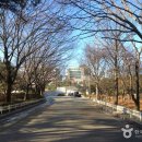 부흥생명약국 | 서울 종로 갈만한곳 베스트10 여행 관광 명소 추천