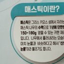 매스틱과 유산균 ( 마 감 ) 이미지