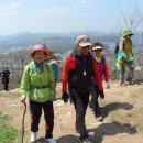 대지-걷기 이미지