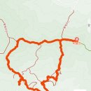 말하는 은행나무 이미지