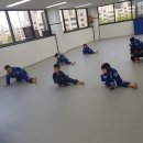 와이번 주짓수 합기도 이미지