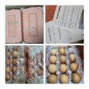 에스겔-푸름농장 이미지