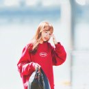 김채원 카카오 검색결과