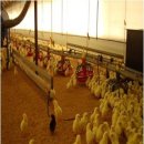 하성농장 이미지