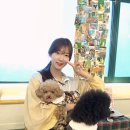 용맹까까 이미지