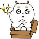 차돌남