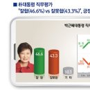 [충격조사]아무리 조작해도,썩은 그네줄 곧 끊어지게 생겼네요!! 이미지