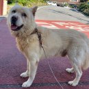 불갑원광 이미지