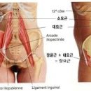 이니셜컨택