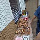 우리 아이 돌직구 성교육 | 슬기로운 우리 아이의 성교육 후기