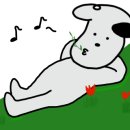투스프링베어 이미지