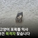 두잉에듀 이미지