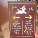 수리봉목장 이미지