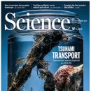 [바이오 토픽] 일본의 쓰나미가 지구의 생태계에 미친 영향 이미지