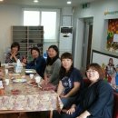 김주목장 Daum카페