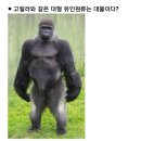야한여자미용실 - 부천시 오정구 고강동 | 야한여자미용실