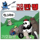 보배글로벌 이미지