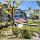 (주)에이스부동산중개법인 이미지