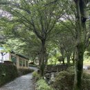 송평로-1 | 경남 창원 카페추천 세시라기 7월 방문 후기