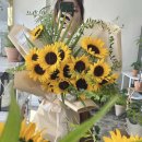 벨르플레르 이미지