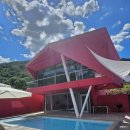 프라이빗핑크트리 이미지