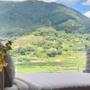 스테이외송 이미지