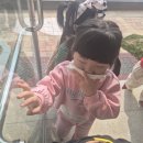 김천유치원 이미지