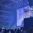 부산 사운드베리페스타2024 다녀온 후기!!!