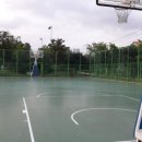 솔숲(매탄공원) 이미지