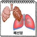 (주)선암 - 3881 | (주)선암