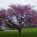 능내2리 마을회관 이미지