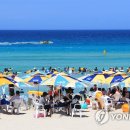 제주 이미지