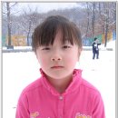 회정초 이미지