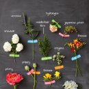 메르시엠 이미지