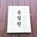 씨유 청도점 | 성시경 먹을텐데 웨이팅 미친 윤밀원 분당 수내동 족발맛집 내돈내산