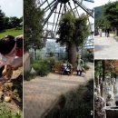 세중농장 이미지