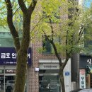 러브씨드스튜디오 | 광주돌촬영사진관 추천 '러브씨드'