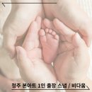청주 ㅣ 우리 집에서 찍는 본아트 전문 스냅 비다움