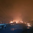 지옥같은 산불 생존기 (긴글주의) 이미지