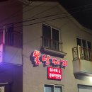 뿔난돼지 이미지