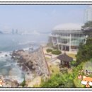 감천시장 | 2. 부산 여행 코스를 계획 중 해운대 감천문화마을 자갈치시장 범어사 동백섬까지