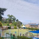 해시도그 | 도그캠프 김포점 반려견 천국, 대형 애견카페 완벽 후기