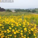 6월 제주여행 3일차 : 비 오기 전 폭풍 놀기