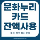 문화누리카드 잔액 사용 후기 합산 확인 방법