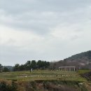 해파랑길관광안내소 | 부산 가볼만한 꽃놀이 명소, 비 오는 날 다녀온 오륙도 해맞이공원 수선화 실시간 개화 후기