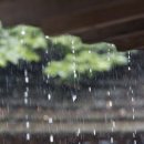 보랏빛민박 이미지